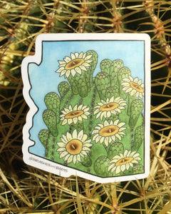 Vinyl sticker in the shape of Arizona with a watercolor painting of the top of a saguaro cactus with white blooming flowers.