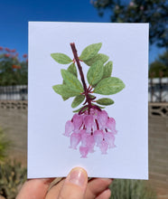 Load image into Gallery viewer, Greeting card with a watercolor Pointleaf Manzanita flower cluster on the front, showing pastel pink bell shaped flowers and green leaves and the signature red stem