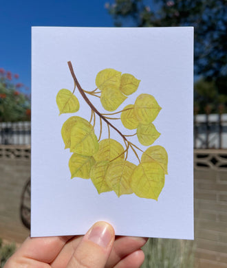 Greeting card with a watercolor Quaking Aspen tree branch on the front, showing the signature golden yellow leaves