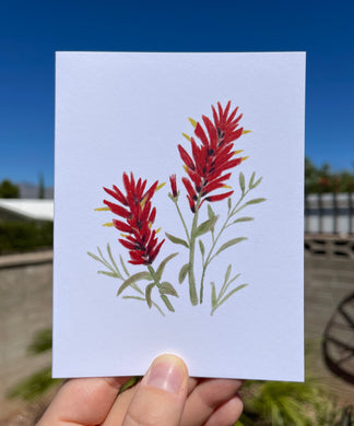 Greeting card with a watercolor Paintbrush flower on the front, showing red flowers and green leaves