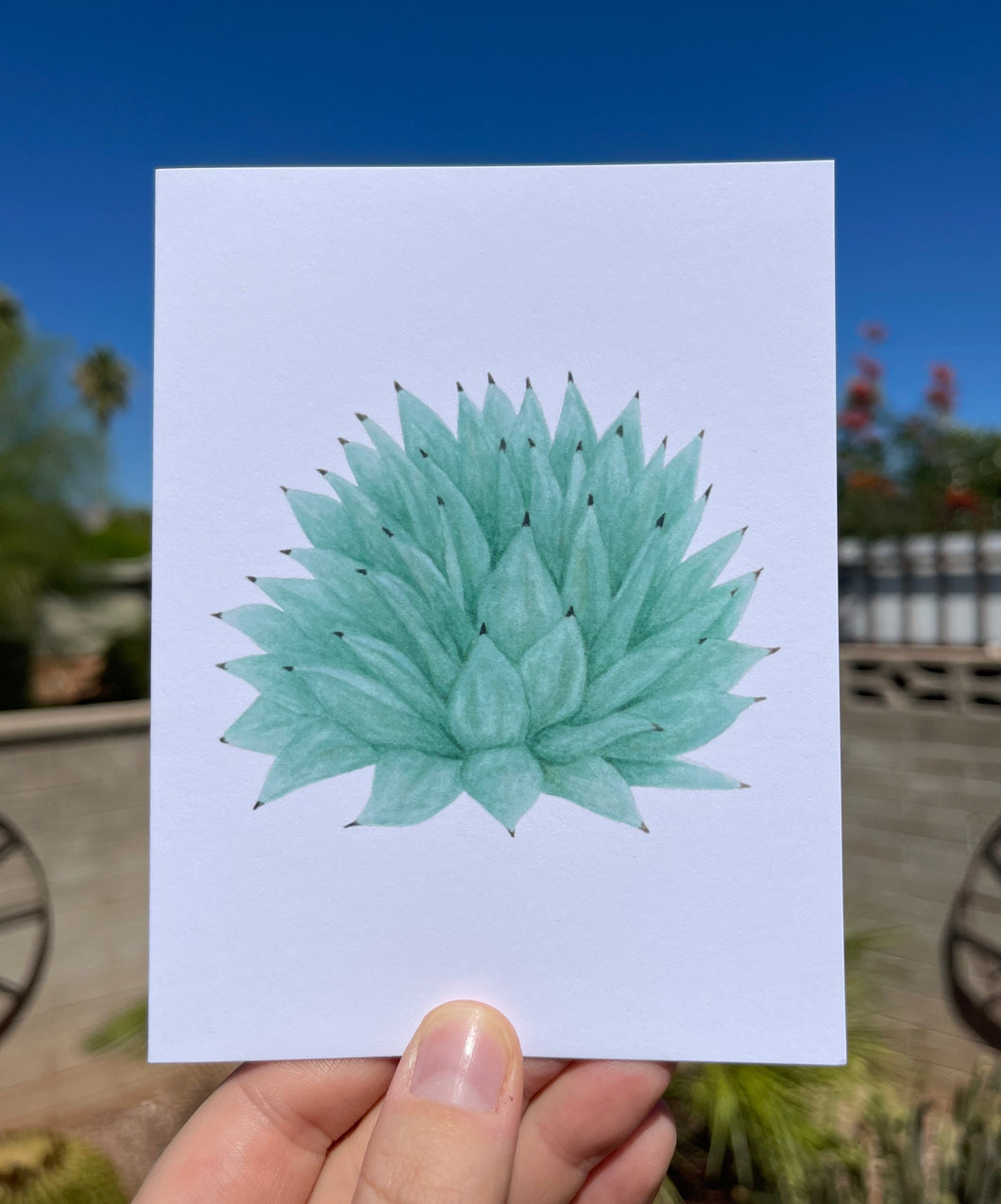 Greeting card with a watercolor Palmer's agave on the front, with silver/green leaves that come to a point