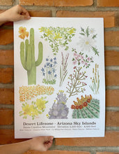 Load image into Gallery viewer, Photo of Desert Lifezone poster showing watercolor artwork of plants and flowers found in the Desert Lifezone of Arizona