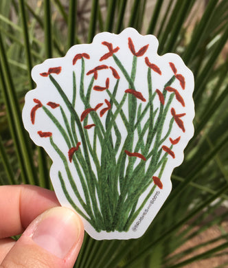 Vinyl sticker of a ocotillo plant with flowers painted in watercolor by Brushes and Boots