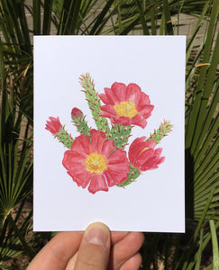 Staghorn Cholla Greeting Card