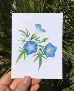 Canyon Morning Glory Greeting Card