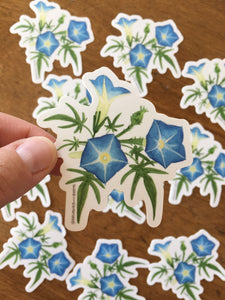 Canyon Morning Glory Vinyl Sticker