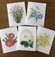 Load image into Gallery viewer, Desert Collection Mix &amp; Match - Greeting Cards (Pick your own pack)