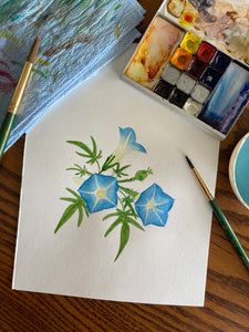 Canyon Morning Glory Vinyl Sticker