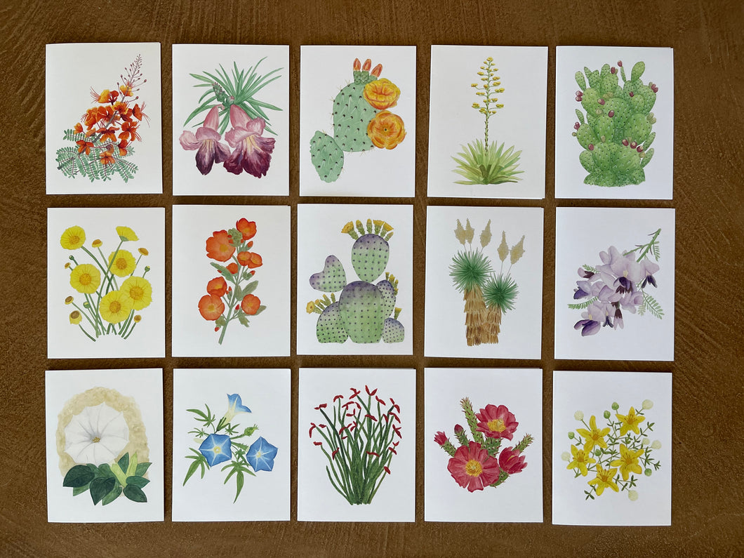 Desert Collection Mix & Match - Greeting Cards (Pick your own pack)