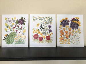 Sonoran Desert Wildflowers 02