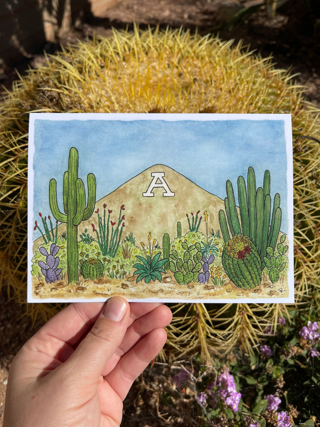 Sentinel Peak 'A' Mountain 5x7 Greeting Card