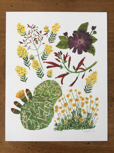Sonoran Desert Wildflowers 01