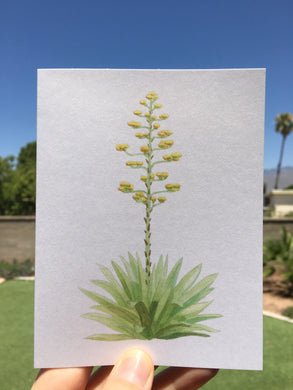 Agave Bloom Greeting Card