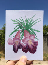 Load image into Gallery viewer, Desert Willow Bloom Greeting Card