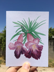 Desert Willow Bloom Greeting Card