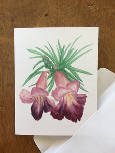 Desert Willow Bloom Greeting Card