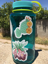 Load image into Gallery viewer, Prickly Pear Bloom Vinyl Sticker