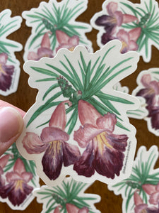 Desert Willow Bloom Vinyl Sticker