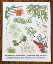 Load image into Gallery viewer, Santa Catalina Lifezone Collection - 8&quot;x10&quot;