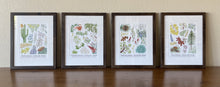 Load image into Gallery viewer, Santa Catalina Lifezone Collection - 8&quot;x10&quot;