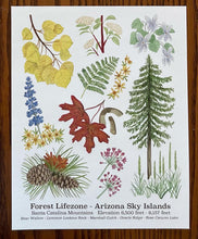 Load image into Gallery viewer, Santa Catalina Lifezone Collection - 8&quot;x10&quot;